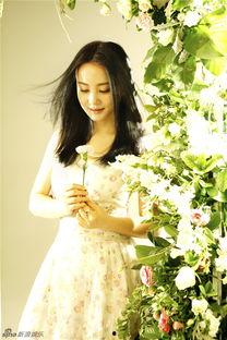 大陶红爆料视频,娱乐圈幕后真相大曝光